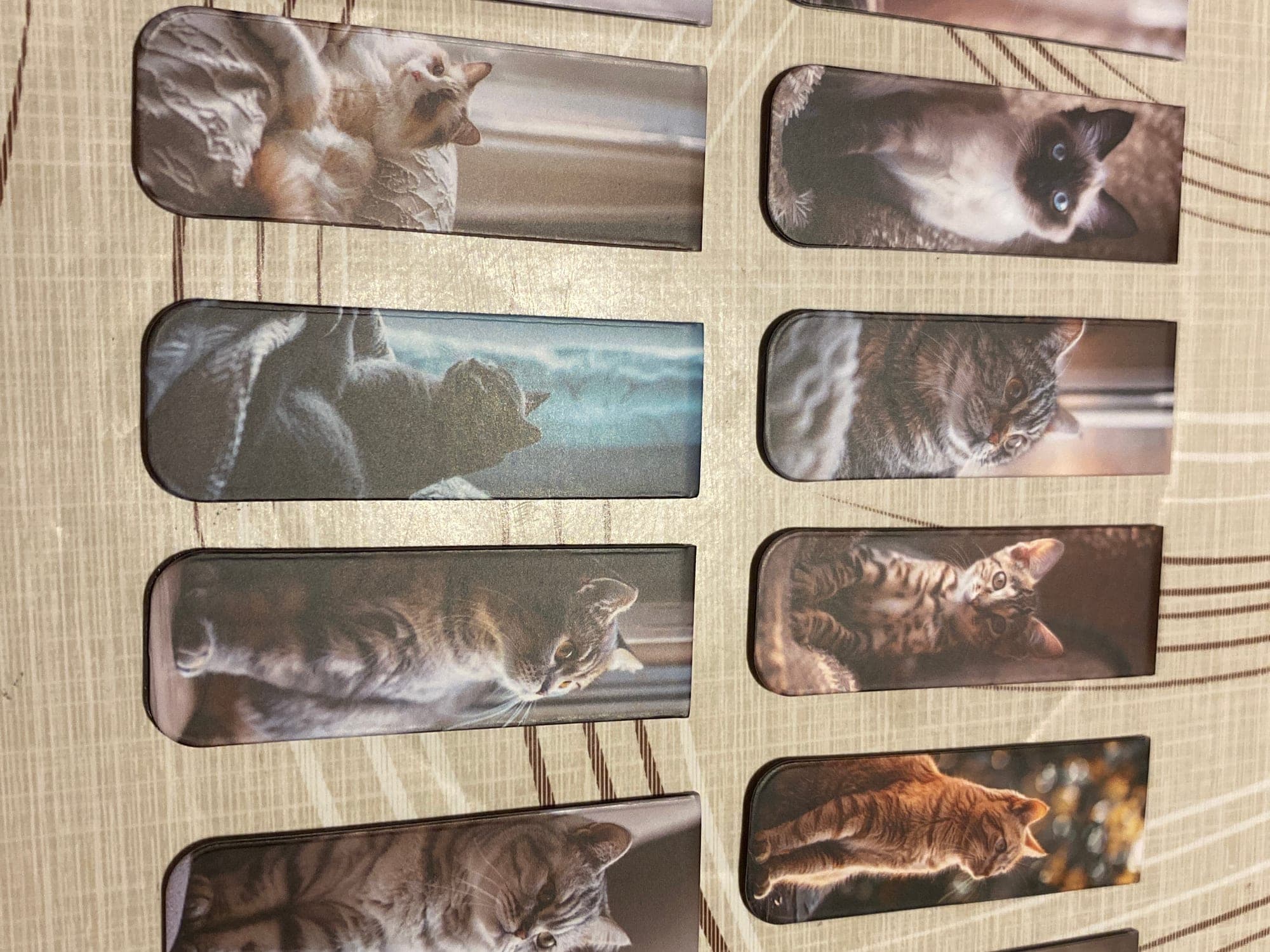 Set of 12 cat magnets with different cat images